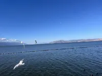 大理慢海卓悅·MAN HAI設計師飯店（大理高鐵站洱海公園店） - 浪漫/情侶