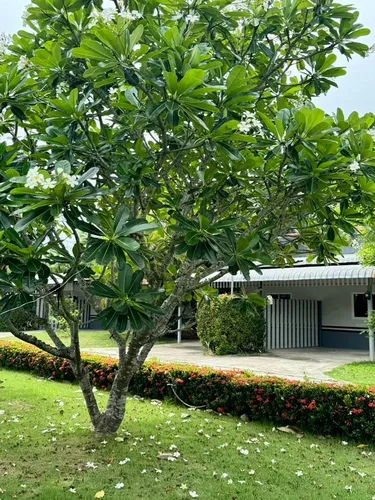 รูปภาพของบ้านสวนสุรีย์ รีสอร์ท