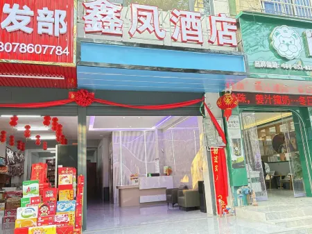 Longlin fengxin hotel Отели в г. Лунлинь