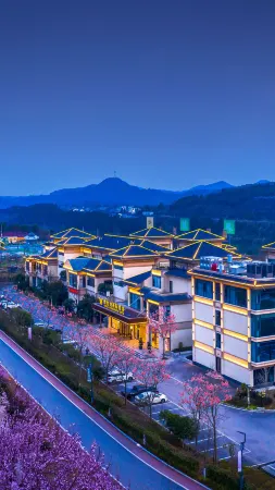 Vienna International Hotel (Yanting Longfenggu)