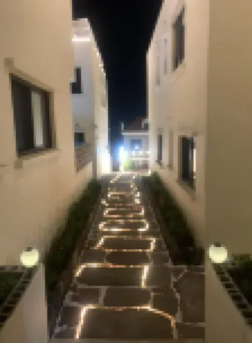 Jeju memory pool villa