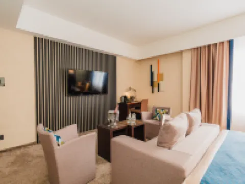 阿斯塔納舒適酒店 阿斯塔納酒店