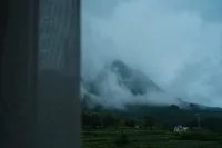 Lan Yunye Homestay - Mountain view