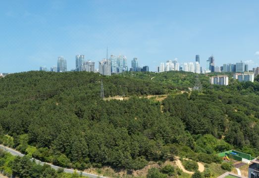 메리어트 이그제큐티브 아파트먼트