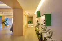 Totoro Spirit (Xinzheng Sias International College Store)