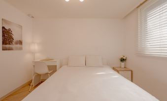 Seoul Traveler's Hub, Maison De Luxe 302 @ Gangnam X KPDH