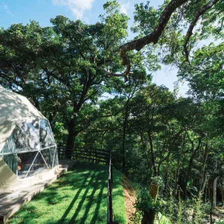 GLAMFOREST OKINAWA NAGO