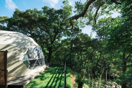 GLAMFOREST OKINAWA NAGO