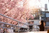 Gu Ruomin Residence - Pet friendly