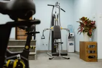 Viet Lotus Saigon Hotel - gimnasio