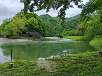 怪潭民宿（石台怪潭景區店） - 寵物友善