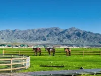 Zhao Su Mountain Island Starry Sky Luxury Camp