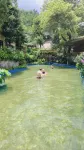 Zhuyuan Hotel (Tuolongxia Ecological Tourism Scenic Area) - piscina