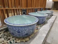 塔城昌南瓷文化湯泉酒店 - 溫泉