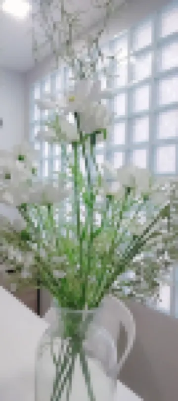 Cinderella Residence