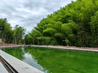 Shuxiang Leisure Homestay