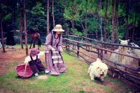 Yunshang Time Mountain View Hot Spring Resort Homestay (Yuanxiang Branch) Отели в г. Тенчун