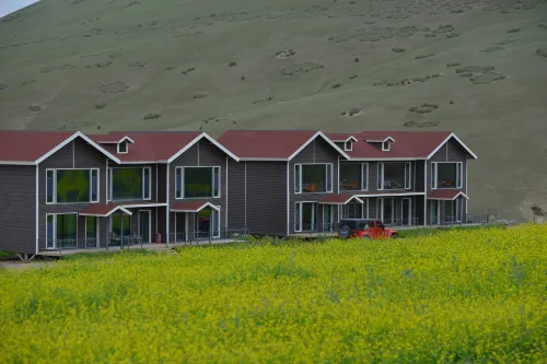 Sunan Suixi Xiangxuan Homestay