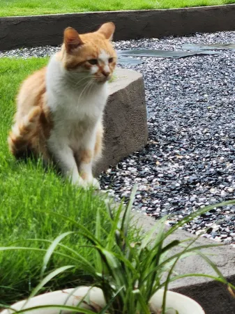 Naxiang No.1 Family Holiday Homestay (Anji Yunshang Grassland Branch) Отели рядом с достопримечательностью «Jiulongxia Scenic Area»