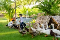 Fusion Resort Cam Ranh -  All Spa Inclusive - Family