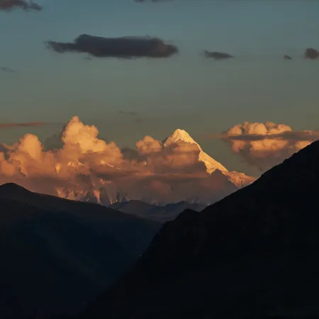 Xiangchunshan · Juangui | Banshan Yinshu (Shuangqiao Valley Scenic Area)
