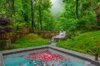 Persimmon Tree Homestay Hotel di Pingwu