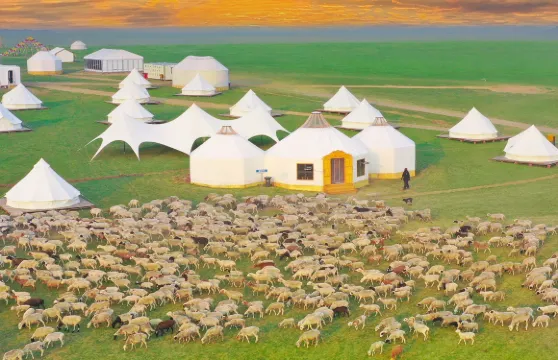 澳貝邇羊羊牧場民宿