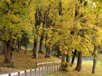 Beausite Park Hotel & Spa - Haustierfreundliche
