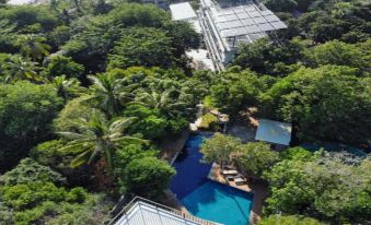 The Dearly Koh Tao Hostel-Padi 5 Star Dive Resort