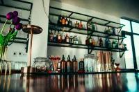 The Elephant Crossing Hotel - bar
