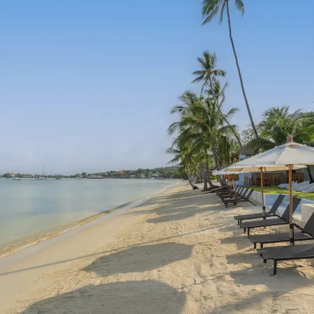 The Culture Samui