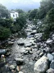 A Corner View Mountain Homestay in Lushan City