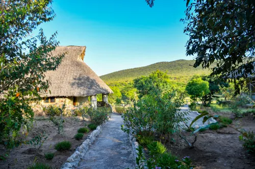 Eco Mara Tented Camp - WiFi