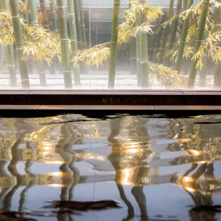 Super Hotel Yamagataeki Nishiguchi Natural Hot Springs