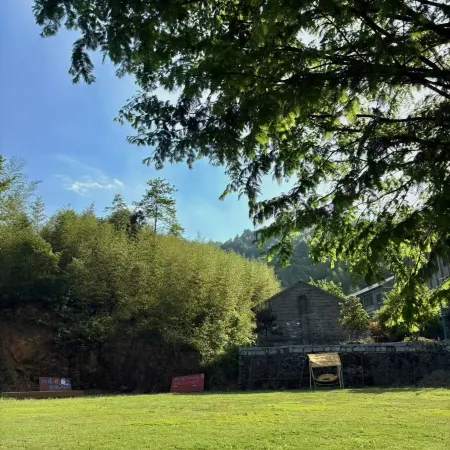Jerry's House