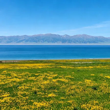 Sayram Lake Nomadic Homestay