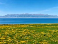 Sayram Lake Nomadic Homestay - 공항 셔틀버스
