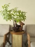 Qilan Garden Lodge · Nanwan Monkey Island, LingShui, Hainan - جاكوزي