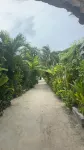 Handhuveli Dhangethi - Wi-Fi