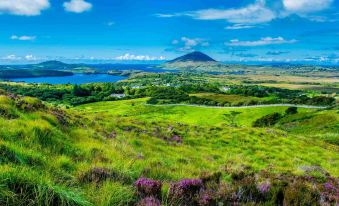 a picturesque view of a lush green field with wildflowers and a mountain in the background at Claregalway Hotel