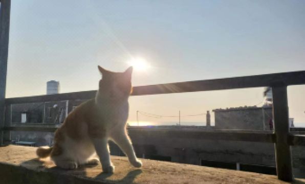 Pingtan MEOW Marcia Holiday Hostel (Aoqian Branch)