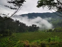 QINGYANLI Residential accommodation