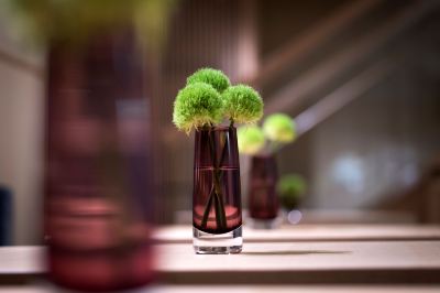 その他 ホテルセンレン京都 東山清水の写真