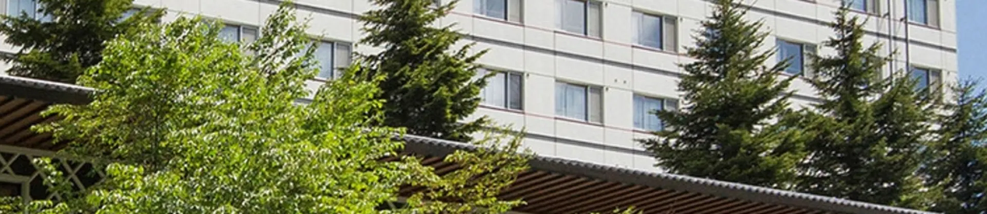 Hot Spring Hotels