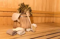 狄厄尼索斯酒店 - SPA