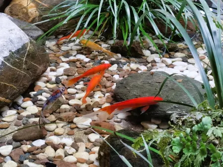 JinShuiJu Hotel & Restaurant Отели рядом с достопримечательностью «Pingle Ancient Town»