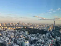 HOTEL GROOVE SHINJUKU, A PARKROYAL Hotel Hotels near Place M