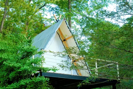 Anji Senyu WILDWOOD Luxury Travel Paid Card Tent Campground (Dongling Branch, Zhejiang Grand Canyon) Отели рядом с достопримечательностью «Donglingcun»