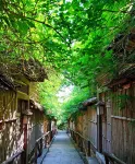 Qianhua Ancient Village Rufeng Homestay