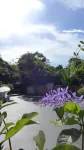 Guangzhou Conghua Yuejie Hot Spring Homestay - con terme
